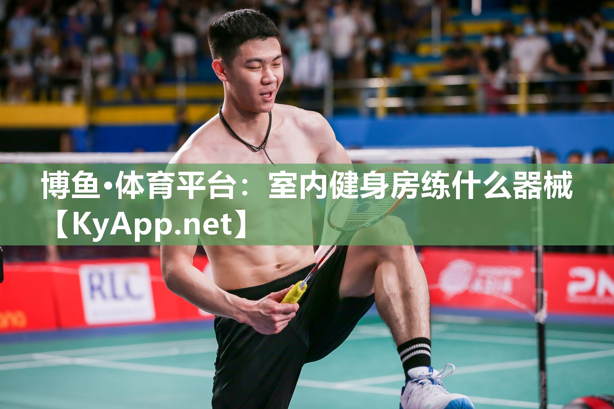 博鱼·体育平台：室内健身房练什么器械