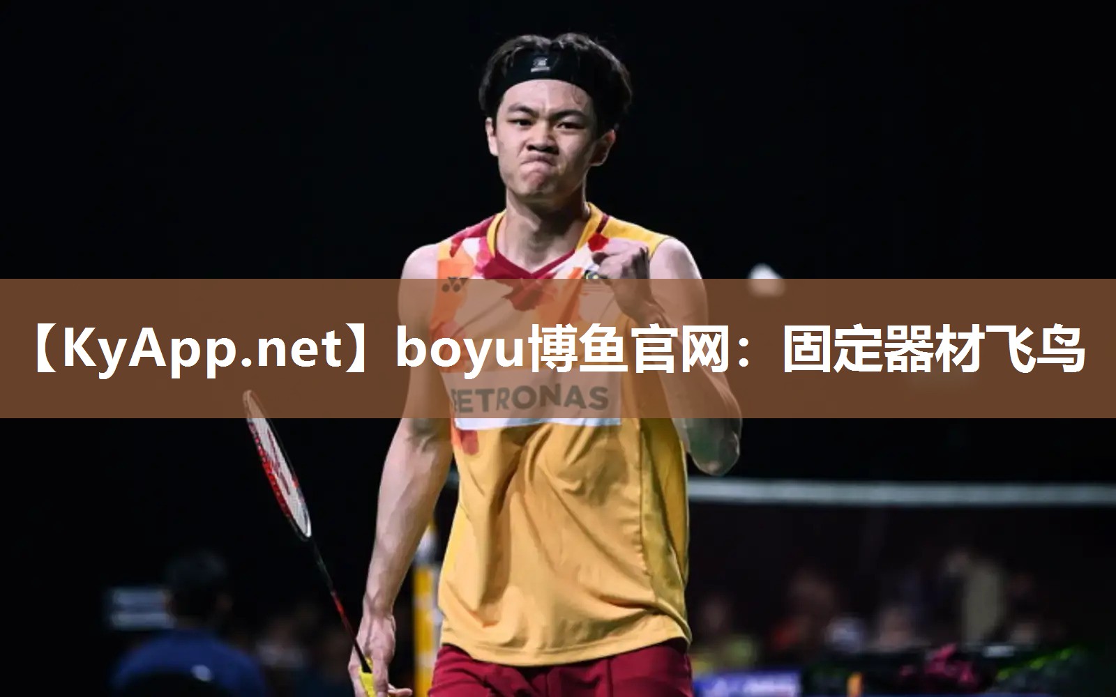 boyu博鱼官网：固定器材飞鸟