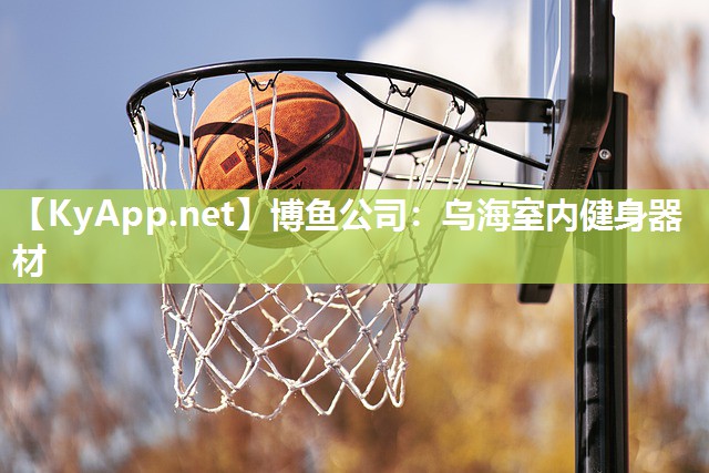 博鱼公司：乌海室内健身器材