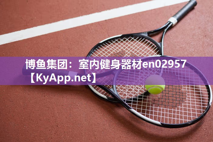博鱼集团：室内健身器材en02957