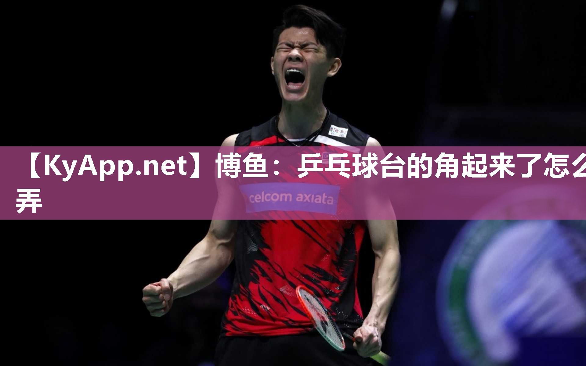 博鱼：乒乓球台的角起来了怎么弄