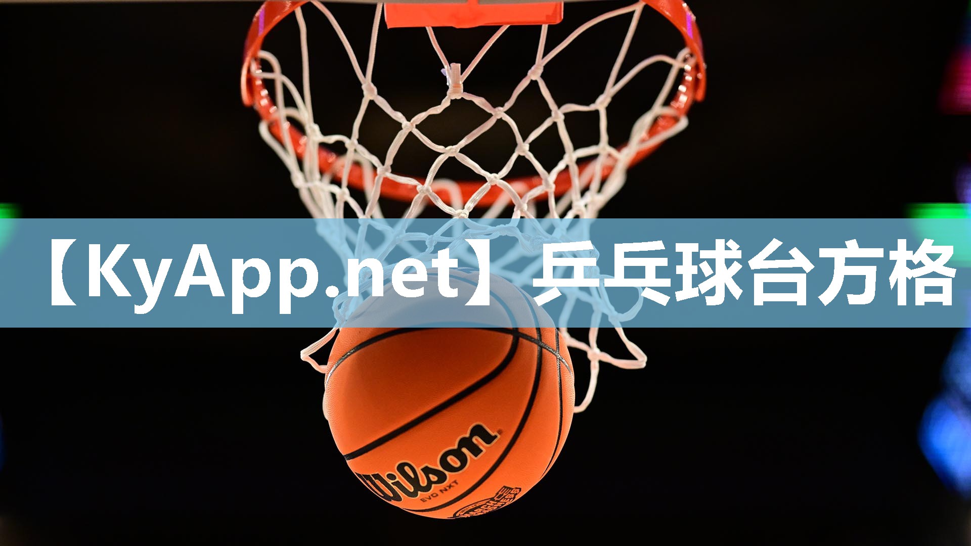 乒乓球台方格