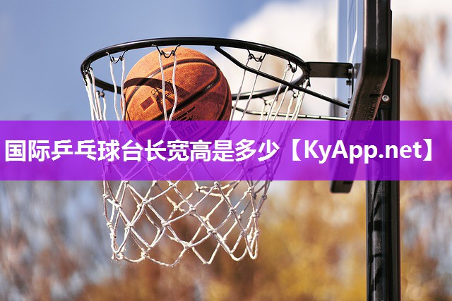国际乒乓球台长宽高是多少