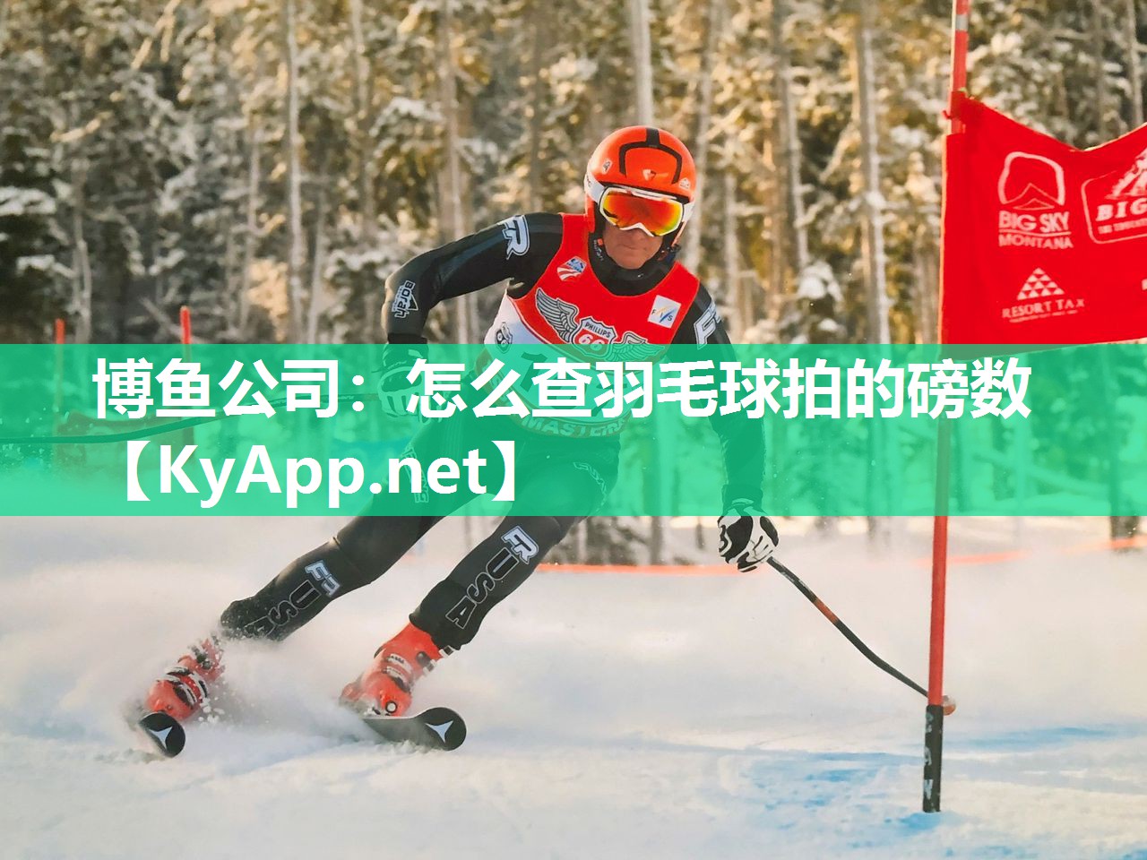 博鱼公司：怎么查羽毛球拍的磅数