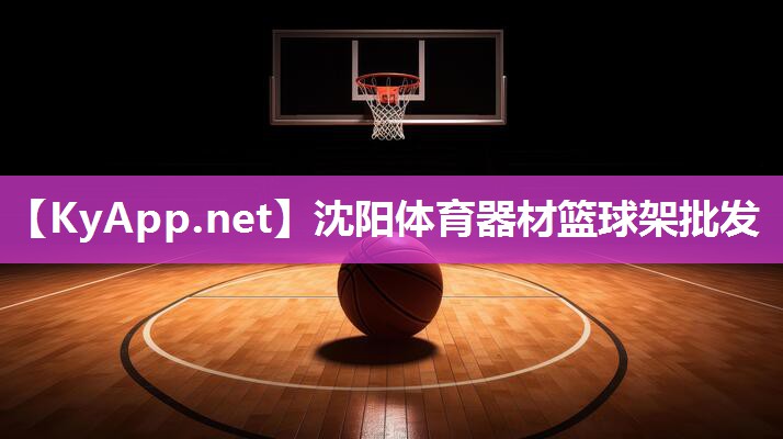 沈阳体育器材篮球架批发