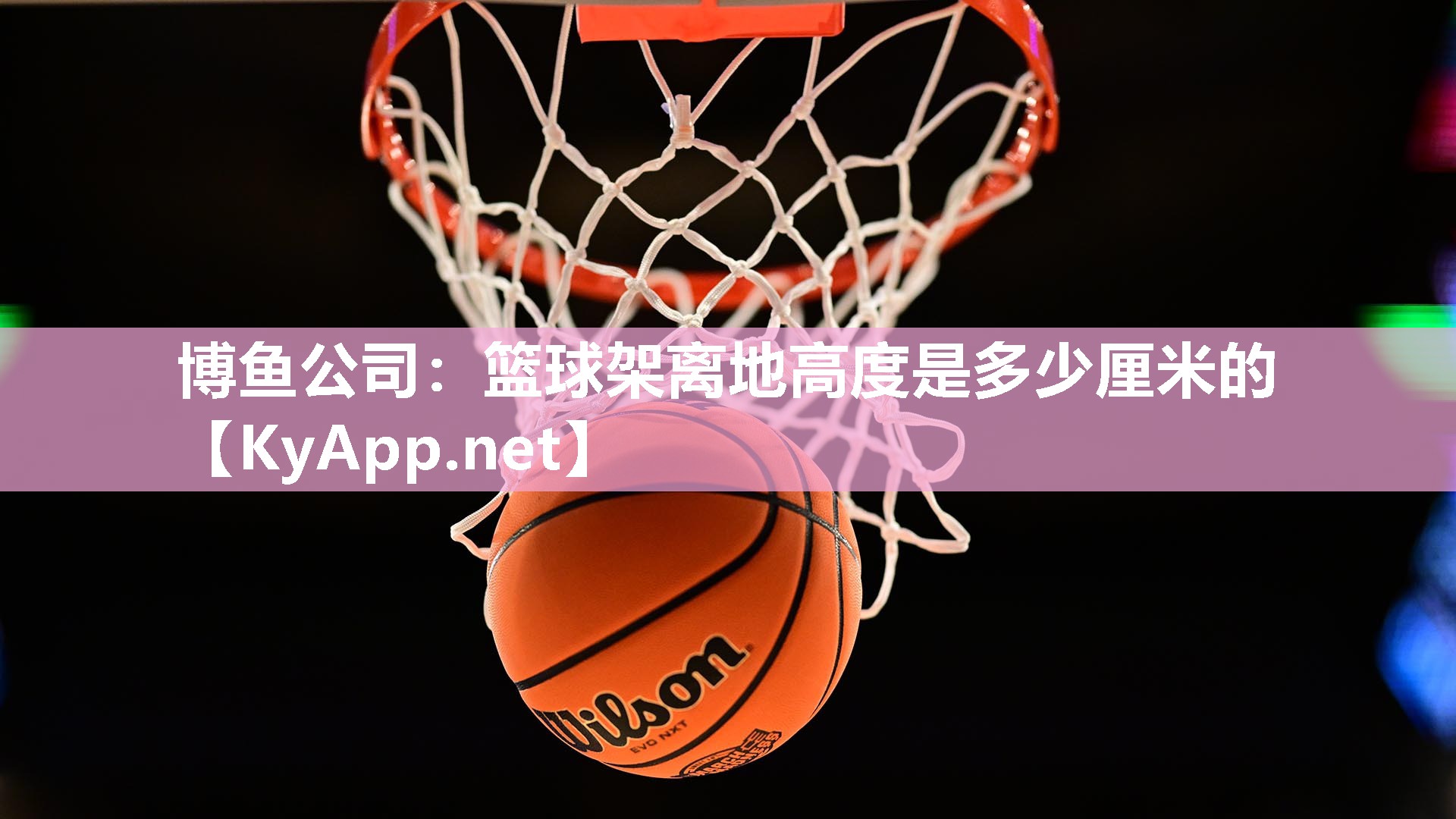 博鱼公司：篮球架离地高度是多少厘米的