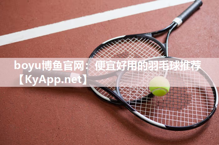 boyu博鱼官网：便宜好用的羽毛球推荐