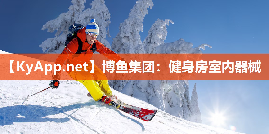 健身房室内器械