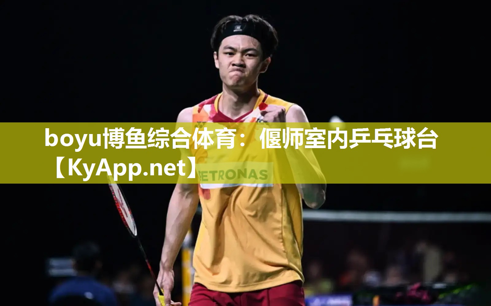 偃师室内乒乓球台