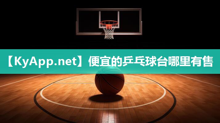 便宜的乒乓球台哪里有售