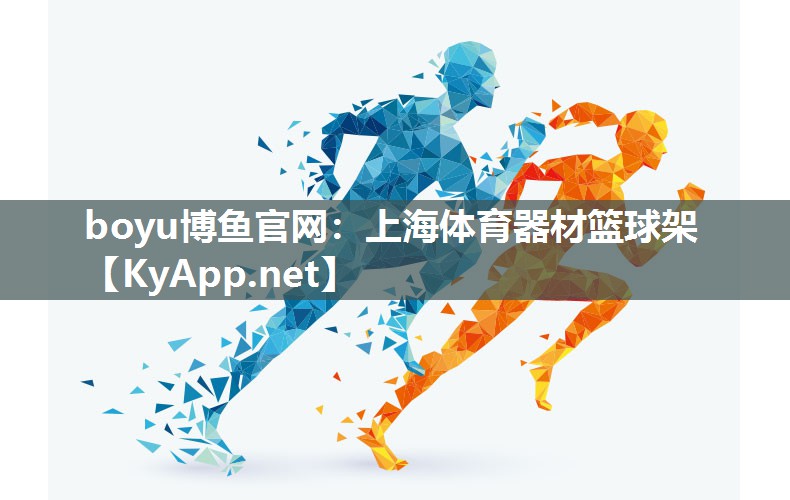 上海体育器材篮球架