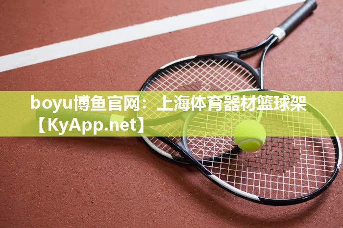 上海体育器材篮球架