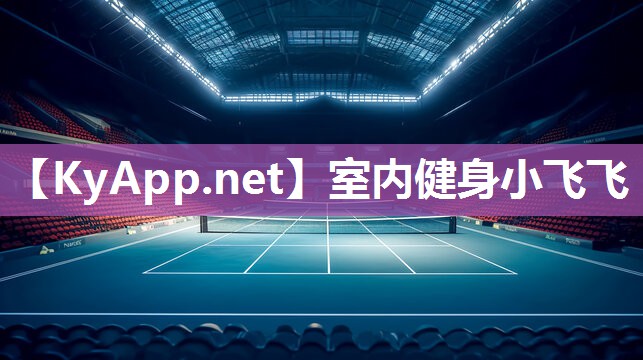 室内健身小飞飞