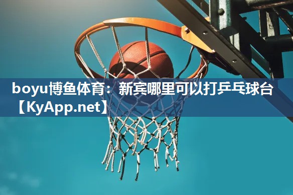 新宾哪里可以打乒乓球台
