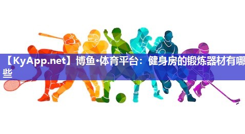健身房的锻炼器材有哪些