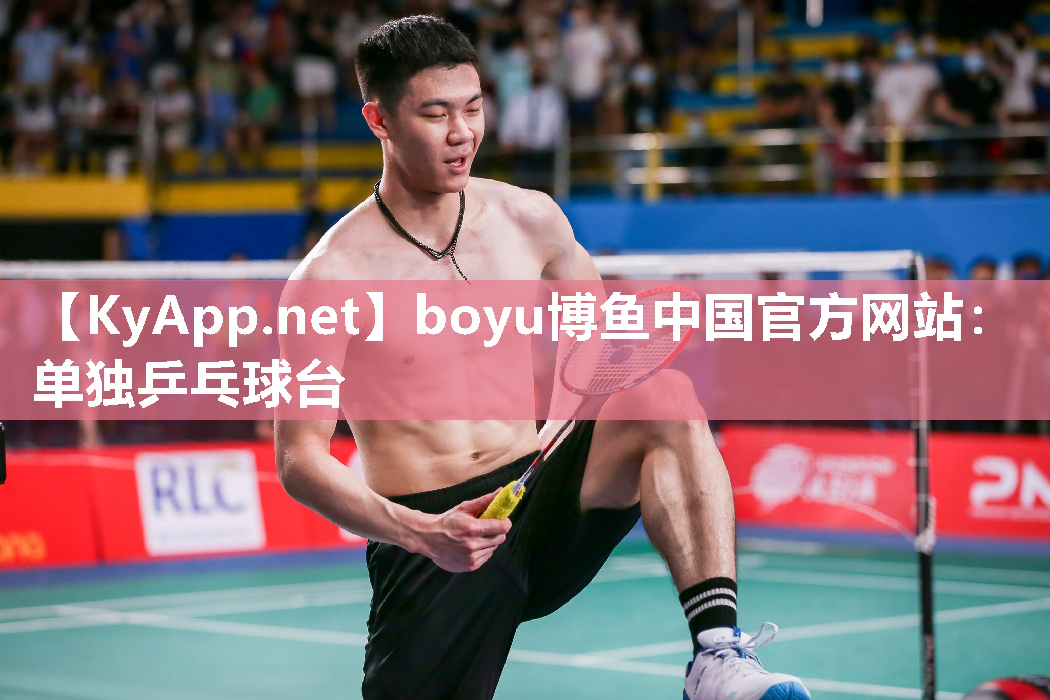 单独乒乓球台