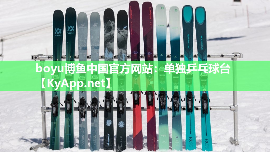 单独乒乓球台