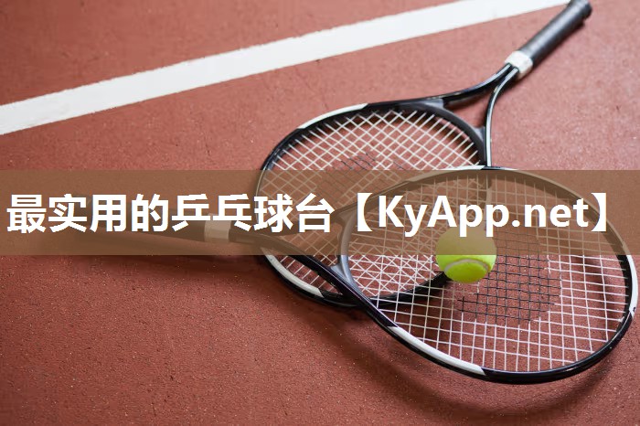 最实用的乒乓球台