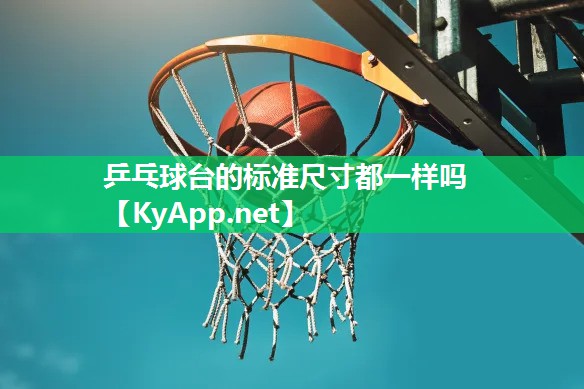乒乓球台的标准尺寸都一样吗