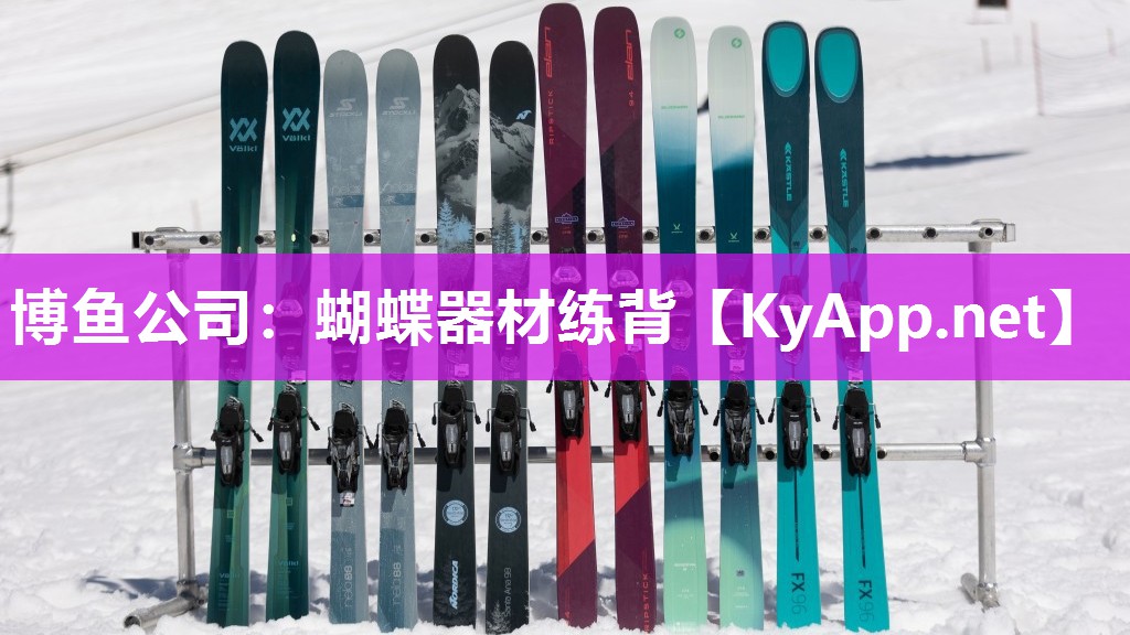 蝴蝶器材练背