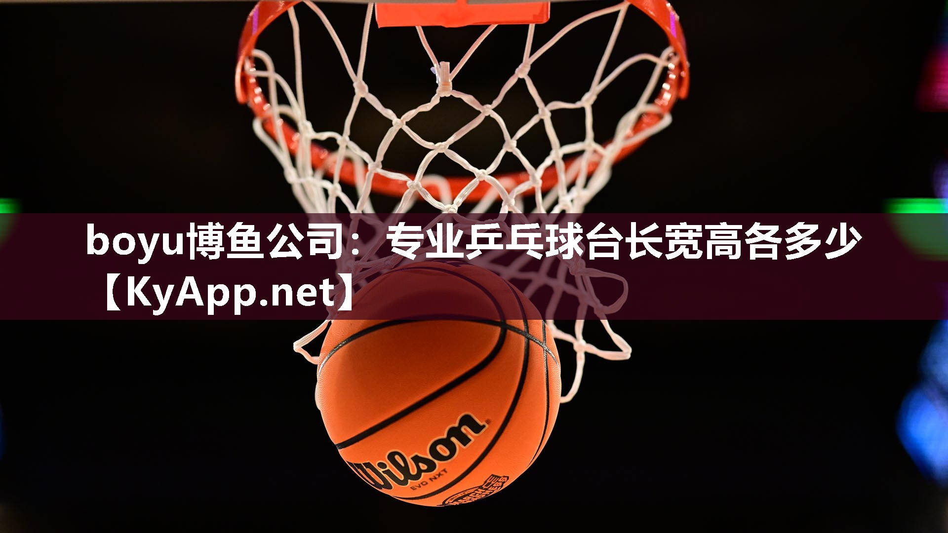 专业乒乓球台长宽高各多少