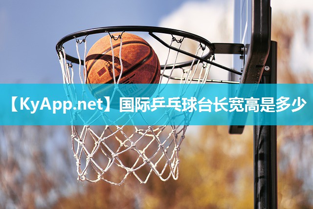 国际乒乓球台长宽高是多少