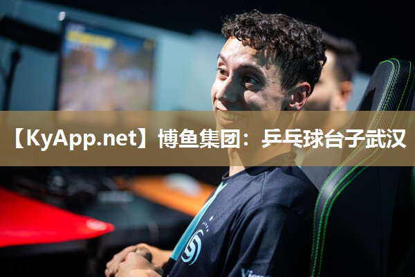乒乓球台子武汉