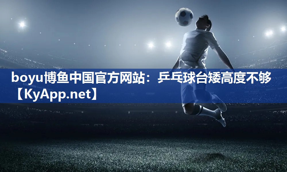 乒乓球台矮高度不够