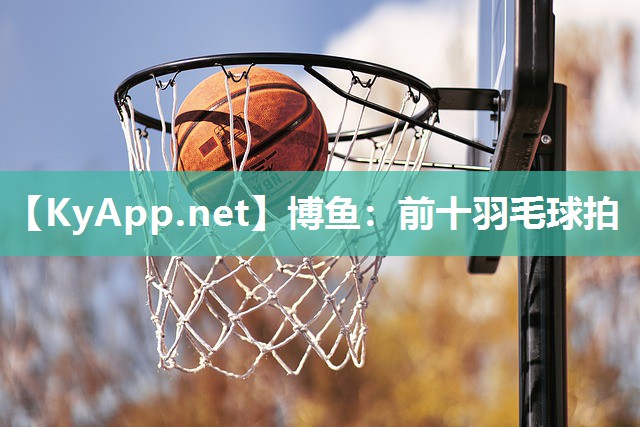 前十羽毛球拍