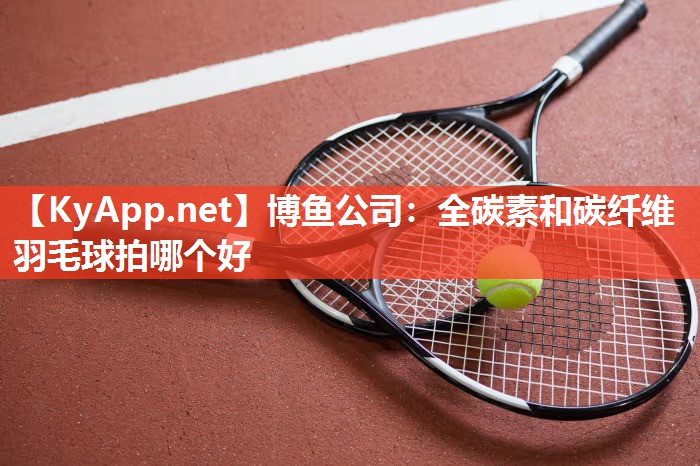全碳素和碳纤维羽毛球拍哪个好