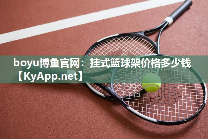 挂式篮球架价格多少钱
