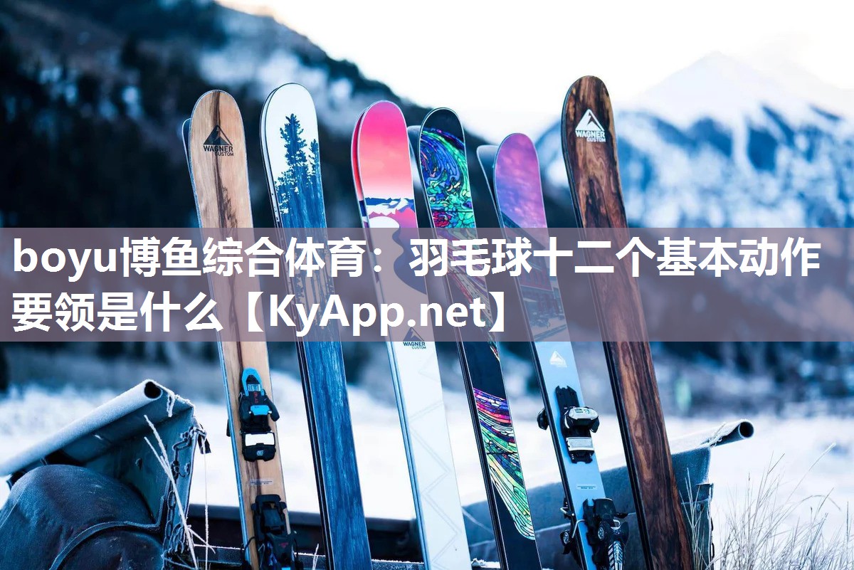 羽毛球十二个基本动作要领是什么