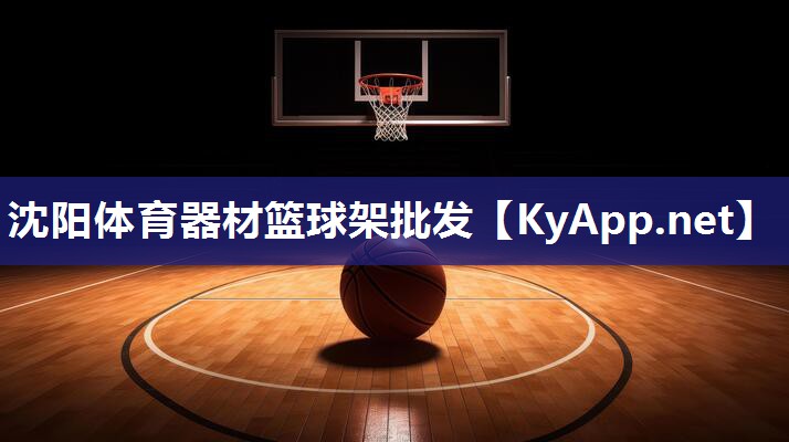 沈阳体育器材篮球架批发