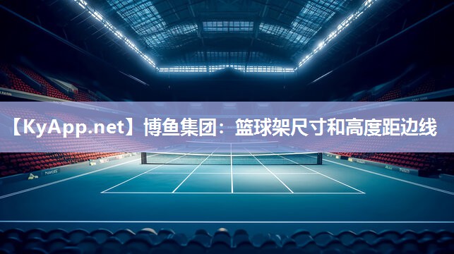 篮球架尺寸和高度距边线