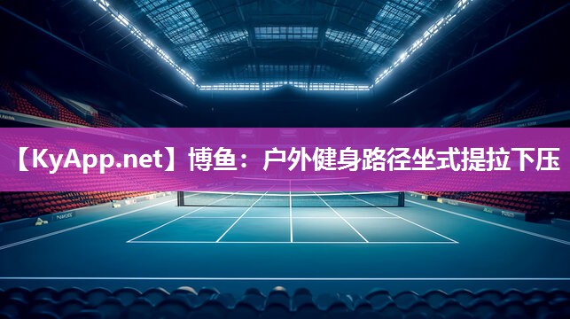 户外健身路径坐式提拉下压