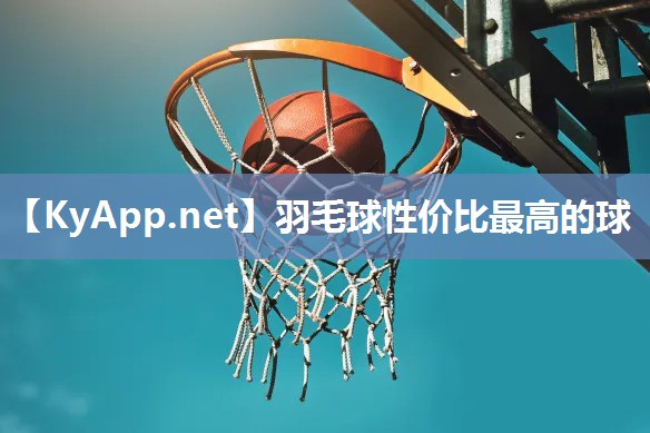 羽毛球性价比最高的球