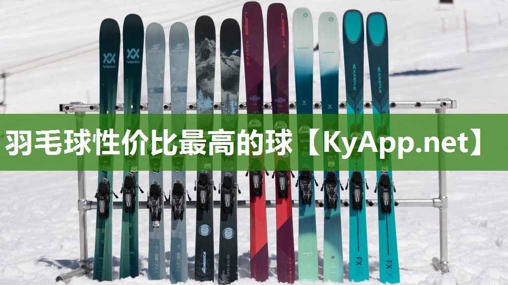 羽毛球性价比最高的球