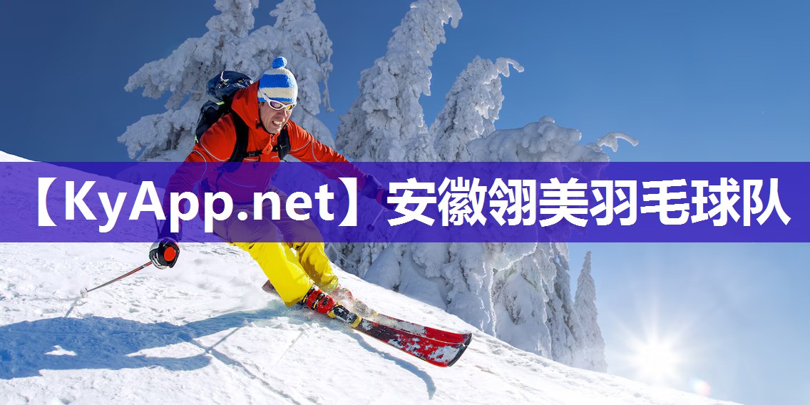 安徽翎美羽毛球队