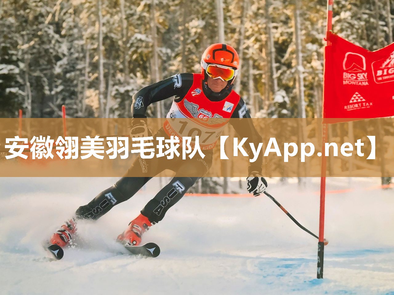 安徽翎美羽毛球队