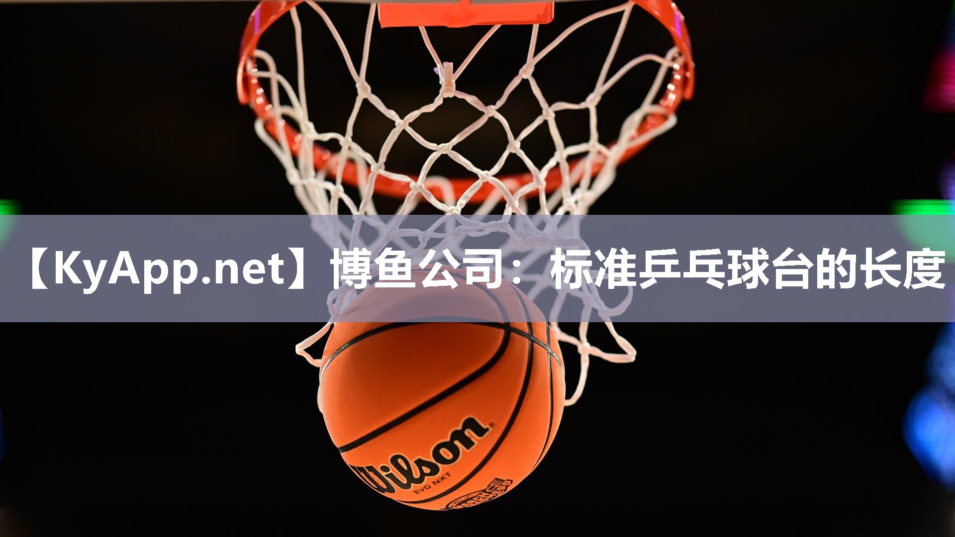 标准乒乓球台的长度