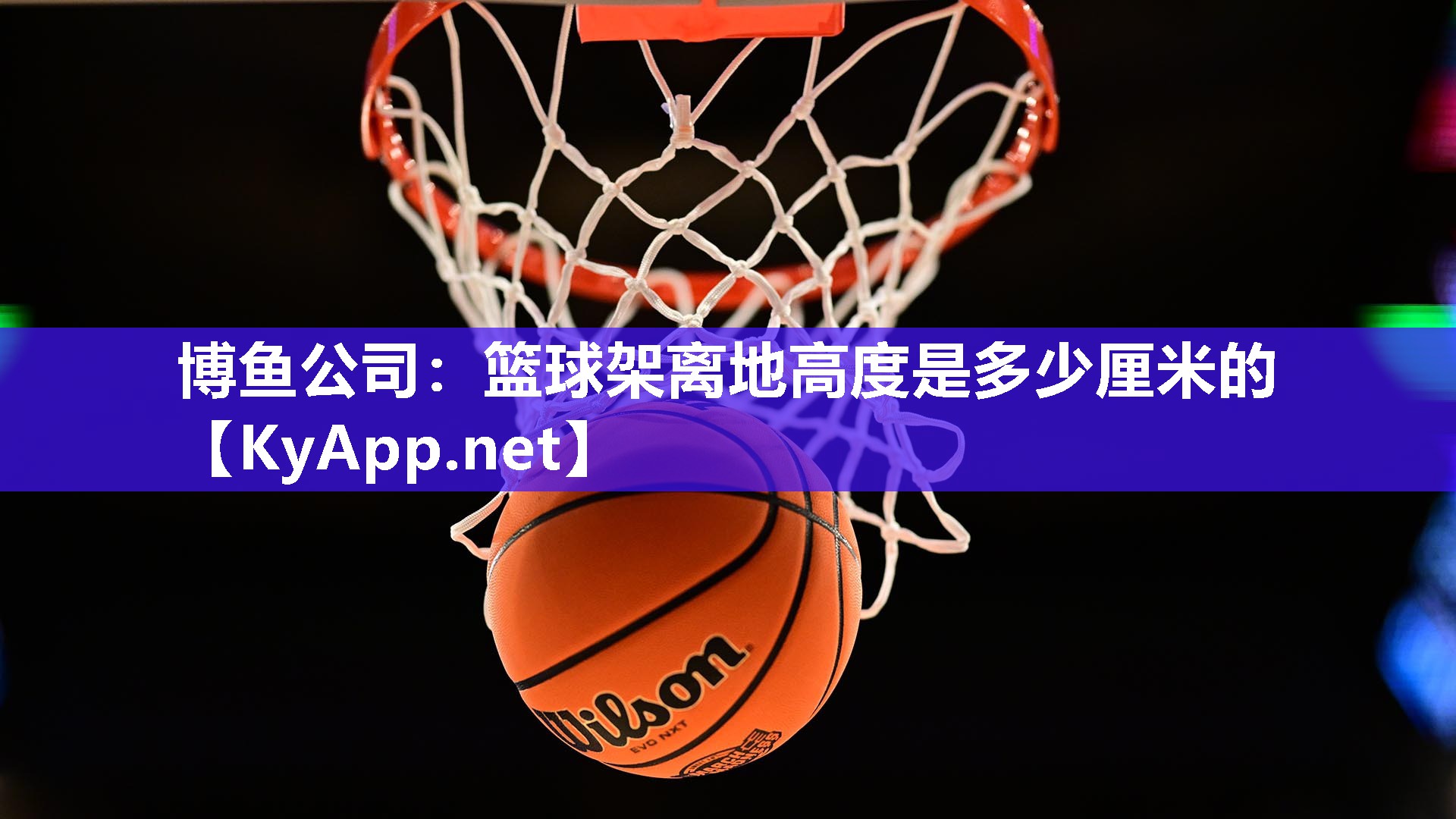 篮球架离地高度是多少厘米的