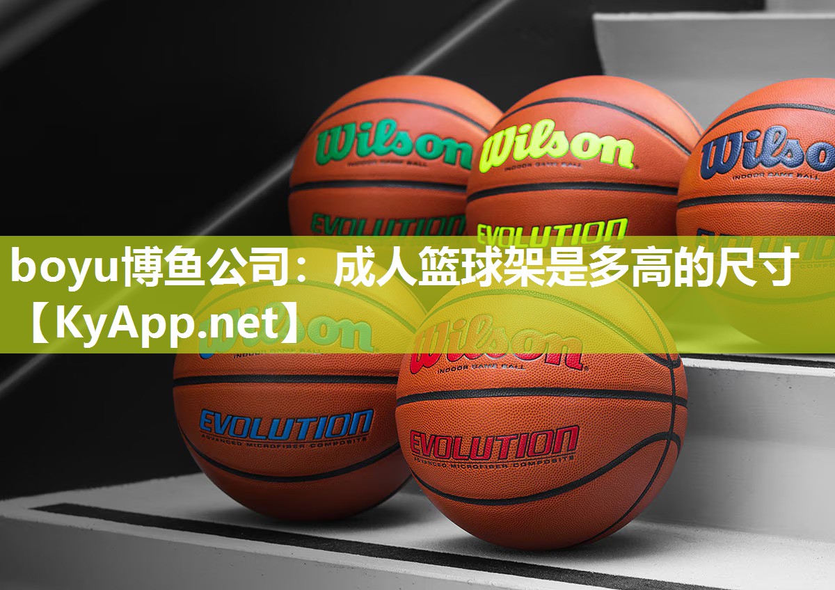 成人篮球架是多高的尺寸