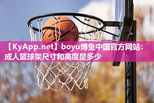 成人篮球架尺寸和高度是多少