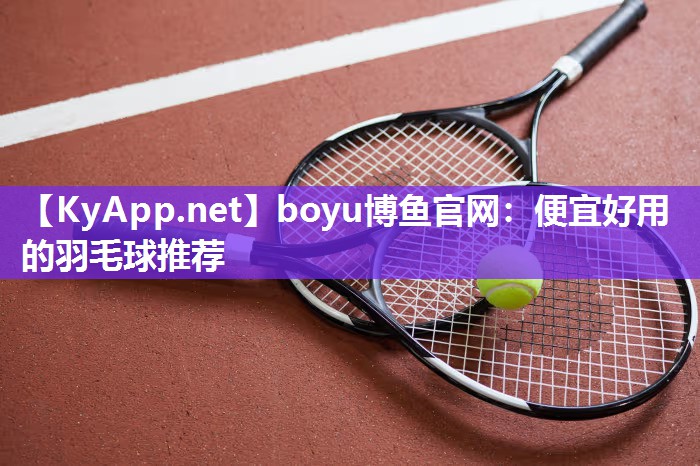 便宜好用的羽毛球推荐