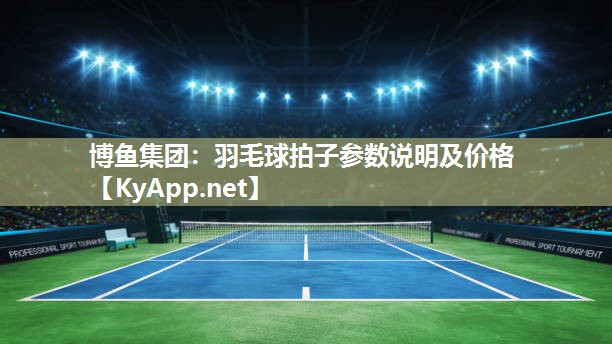 羽毛球拍子参数说明及价格
