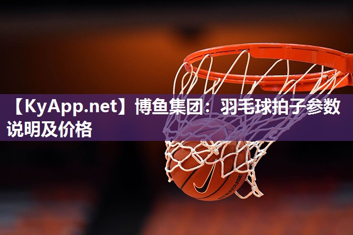 羽毛球拍子参数说明及价格