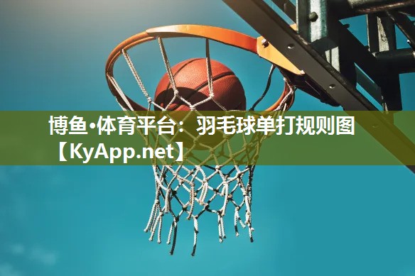 羽毛球单打规则图