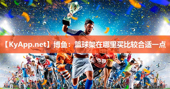 篮球架在哪里买比较合适一点