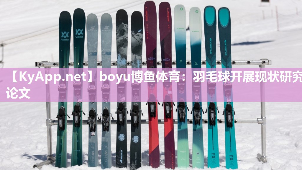 羽毛球开展现状研究论文