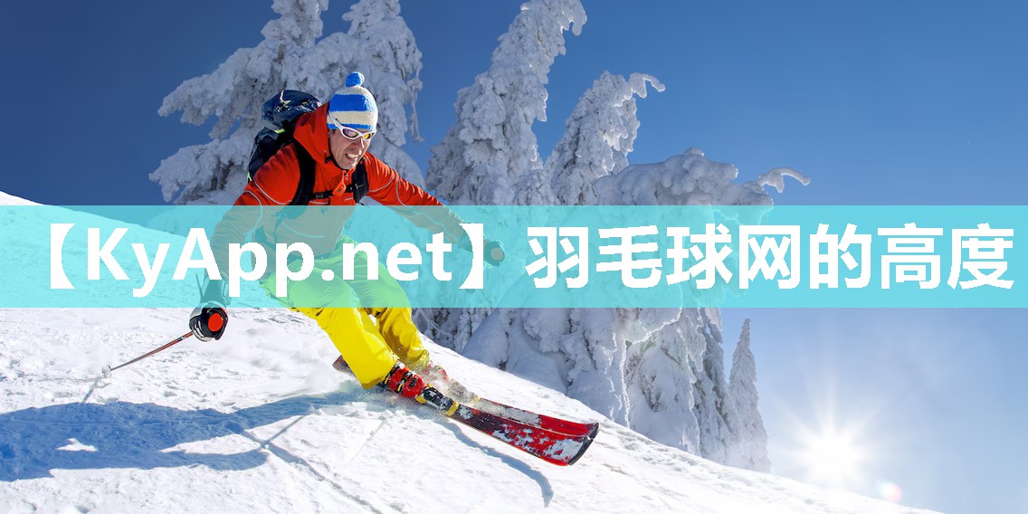 羽毛球网的高度